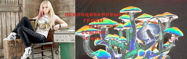 амф Арсеньев