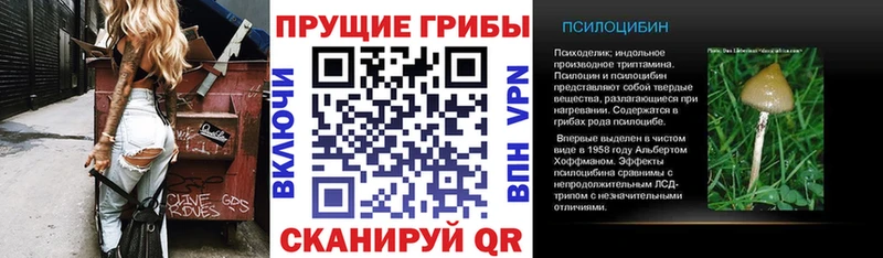 Галлюциногенные грибы MAGIC MUSHROOMS где купить наркотик Асино